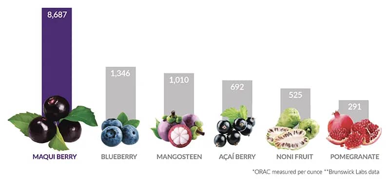 maqui-berry-health-benefits maqui berry health benefits